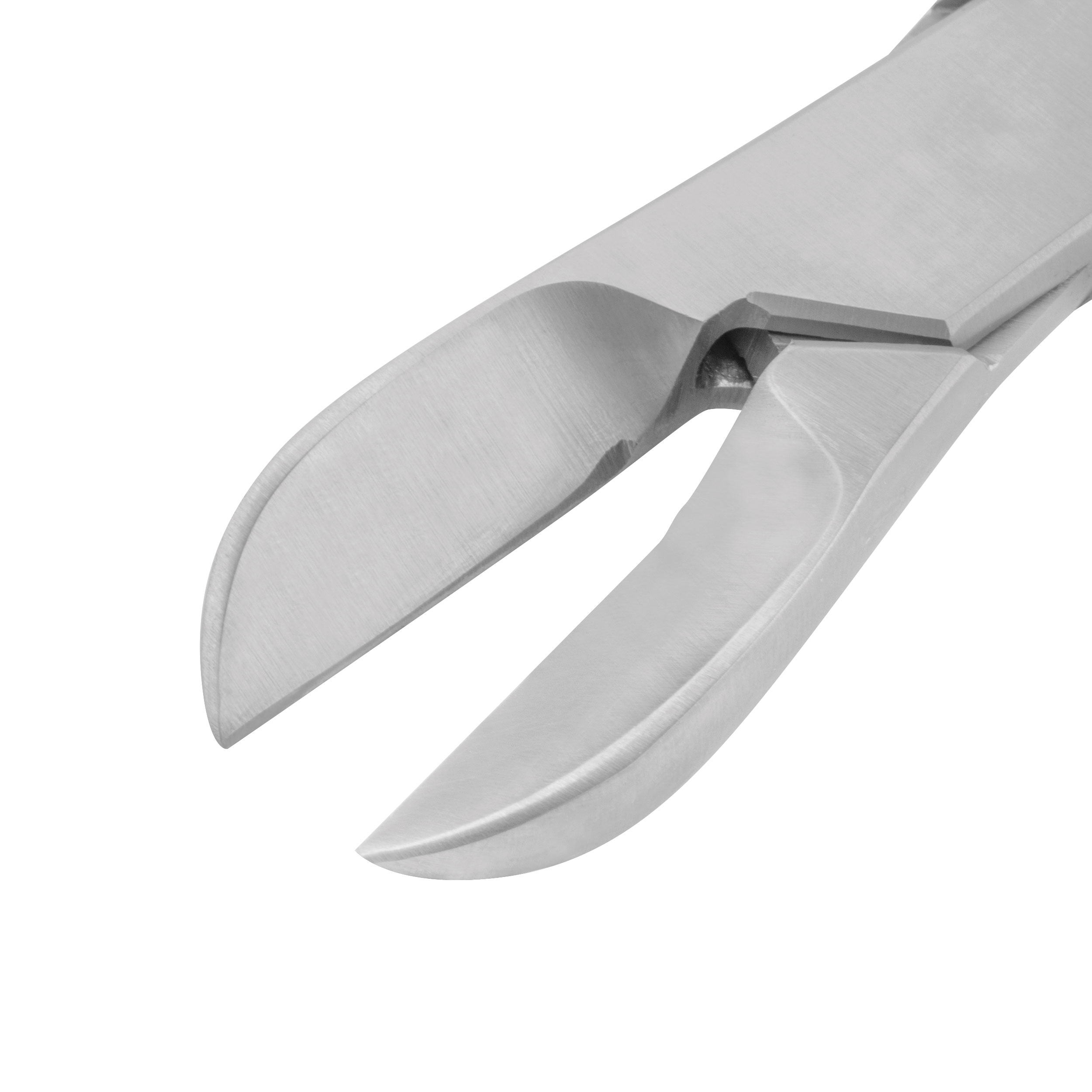 [DK]Knoglesplinttang Lister, nærbillede